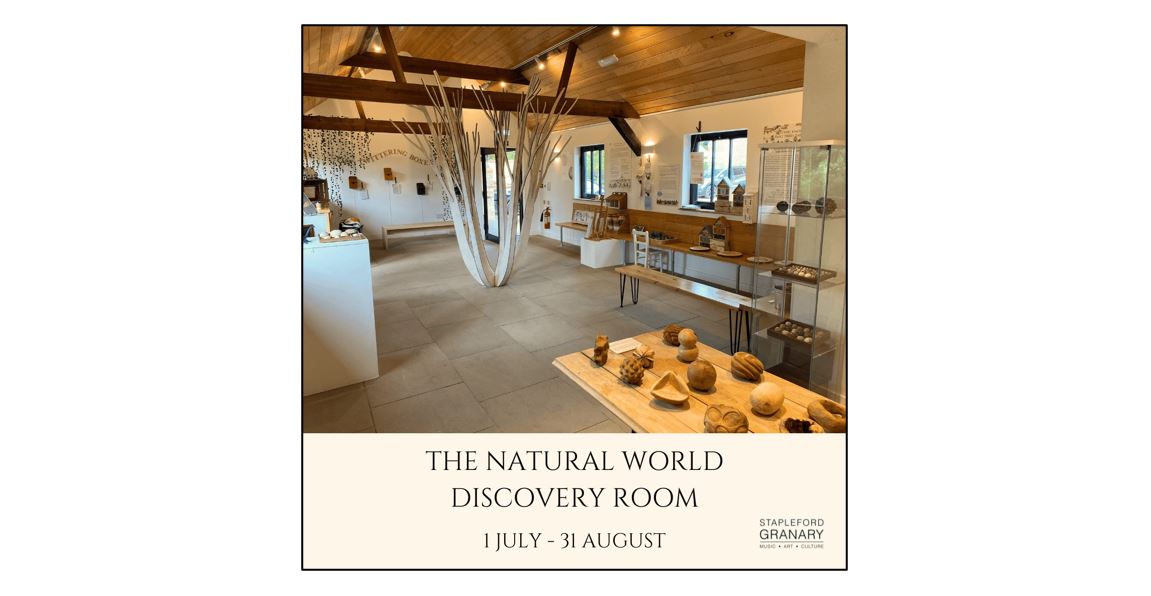 Natural World Discovery Room - Tree Natural World Discovery Room - Twittering Boxes Natural World Discovery Room - All About Trees Natural World Discovery Room - Chloe Chapman  Natural World Discovery Room - Chloe Chapman Glass Natural World Discovery Room - Fossils Natural World Discovery Room - Twittering Boxes and Tree