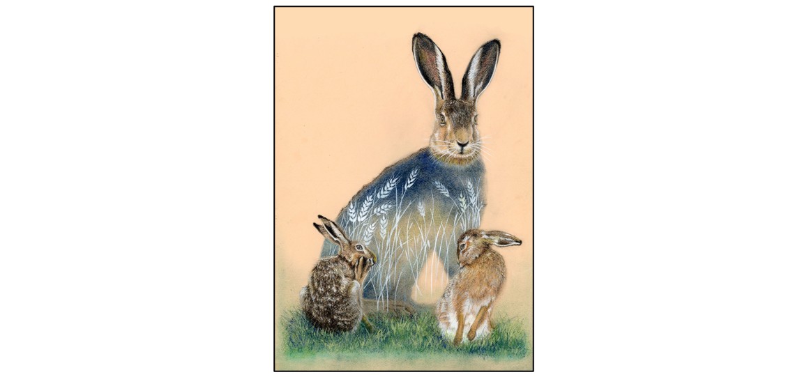 Flora & Fauna of East Anglia Art Exhibition