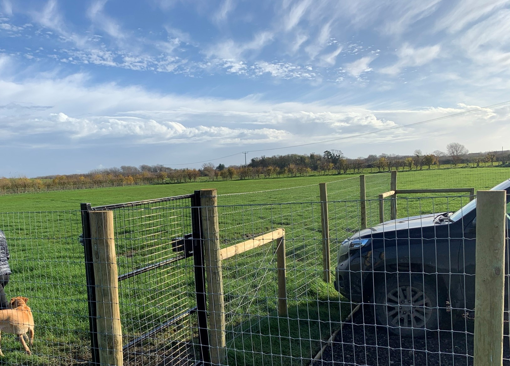 Newton Farms secure dog field, entrance and gate