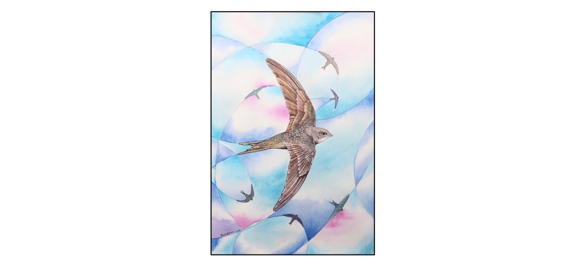 Flora & Fauna of East Anglia Art Exhibition