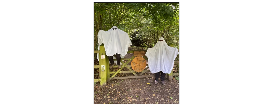 Trick or Treat: Craft and Play