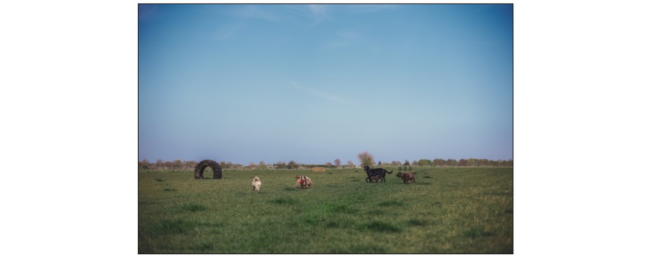 The Paddocks - Bassingbourn