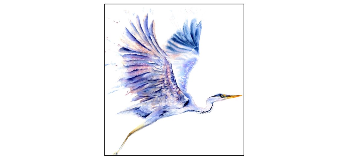 Flora & Fauna of East Anglia Art Exhibition