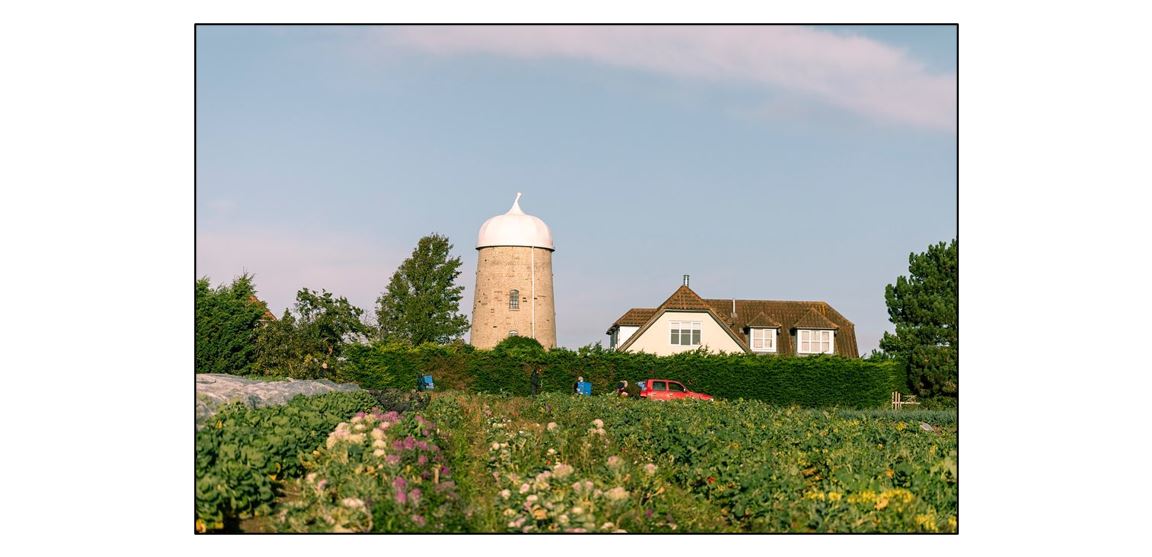 Flourish Farm Shop - Crops and Flowers