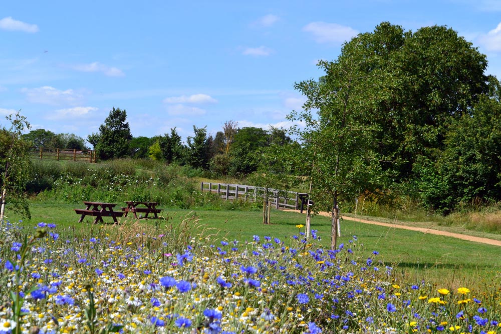 Millbridge Brook Meadows Gamlingay, bridge