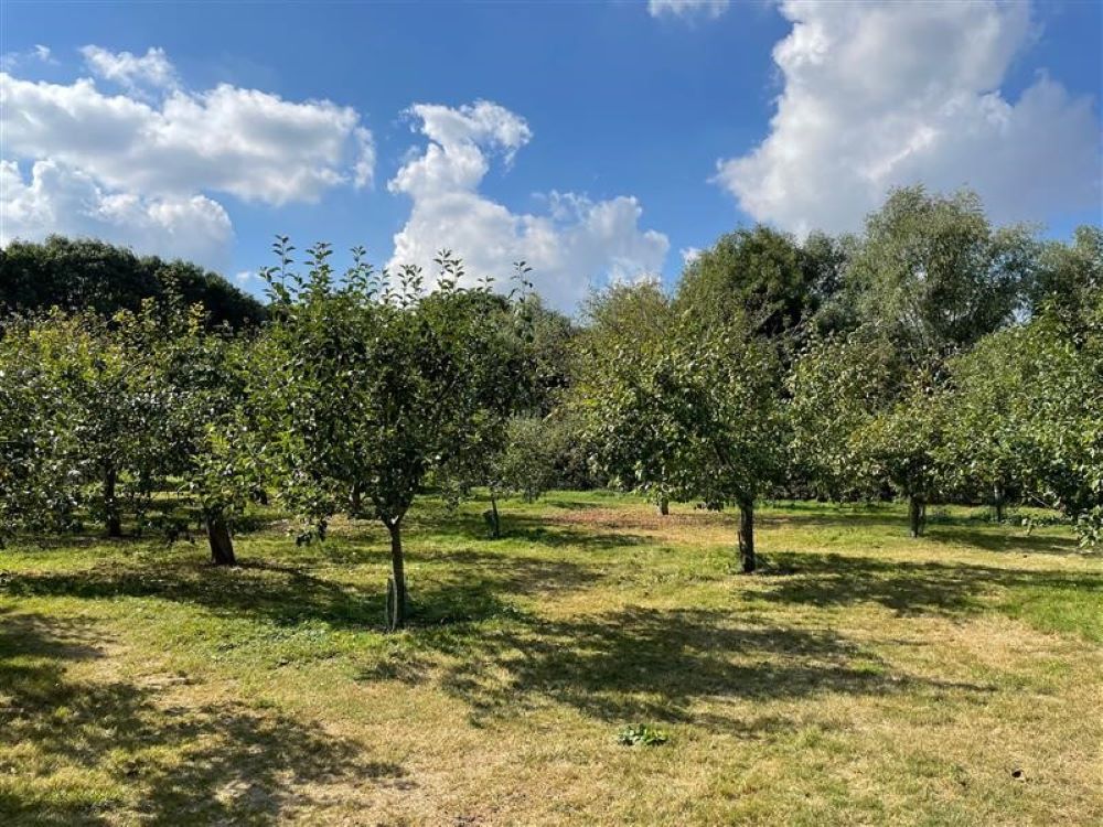 Milton Country Park, green space