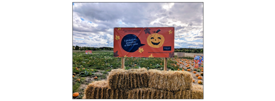 PYO Pumpkins & Halloween Shop