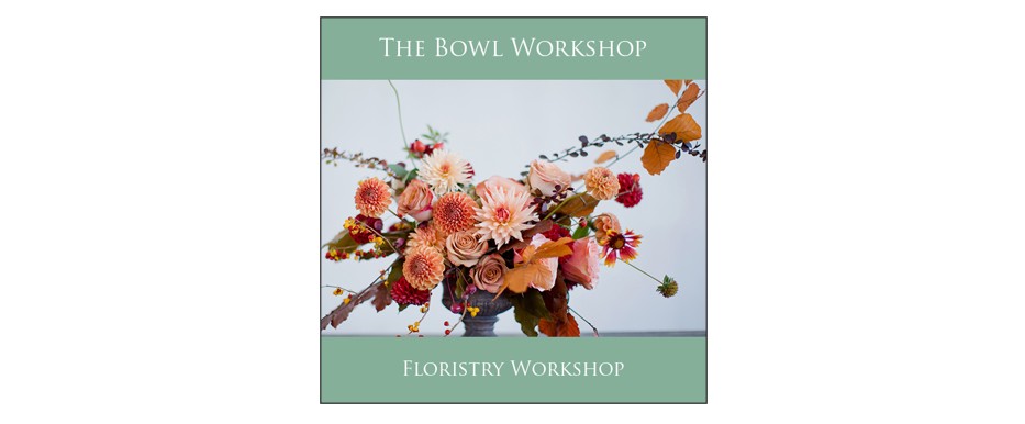 The Bowl Workshop