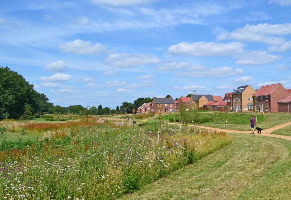Millbridge Brook Meadows, Gamlingay