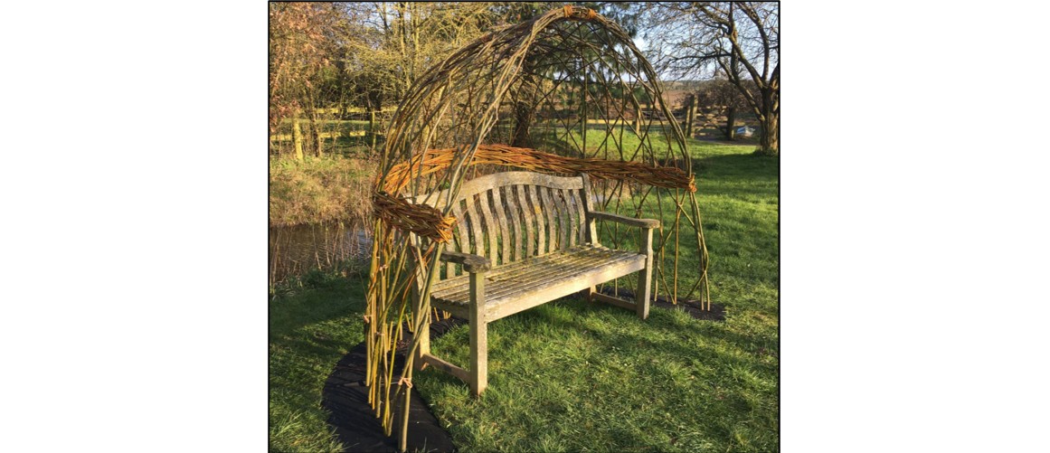SalixArts - 
