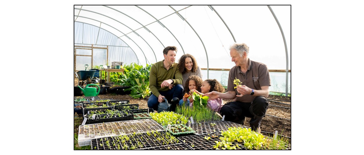 Frank's Farm - Polytunnel