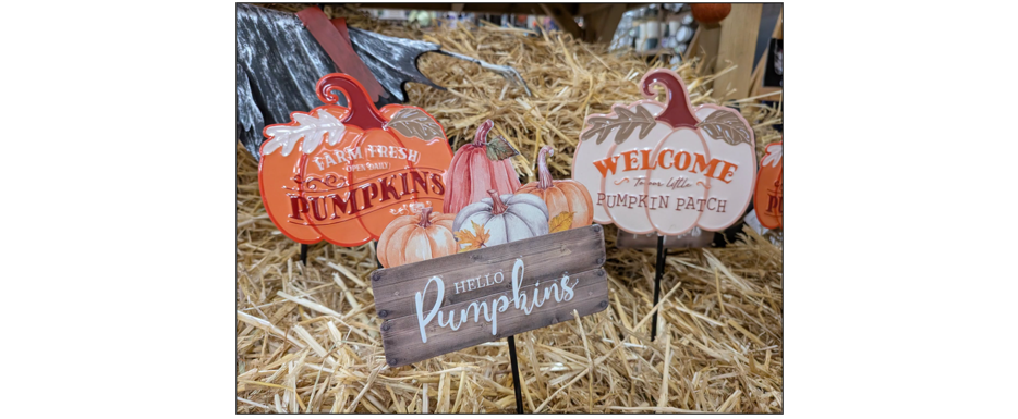 PYO Pumpkins & Halloween Shop