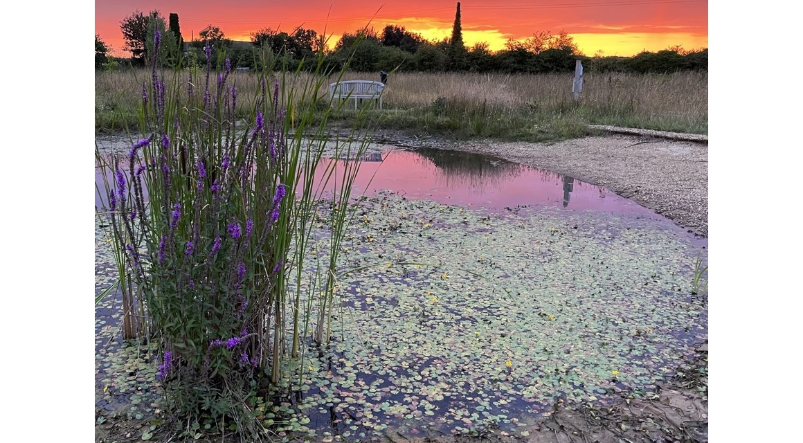 Sunset view