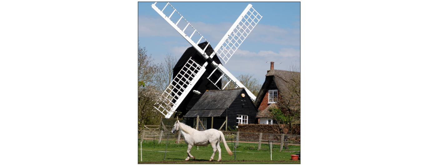 Bourn Windmill Open Day – The East Anglian Mills (TEAMS) Weekend