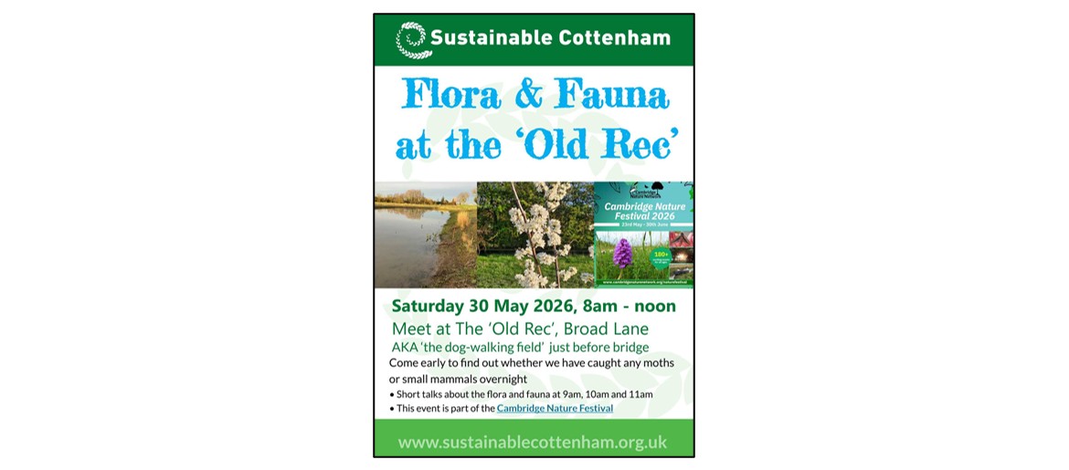 Flora and Fauna at the Old Rec, Cottenham - poster Flora and Fauna at the Old Rec, Cottenham  Flora and Fauna at the Old Rec, Cottenham  Flora and Fauna at the Old Rec, Cottenham Flora and Fauna at the Old Rec, Cottenham