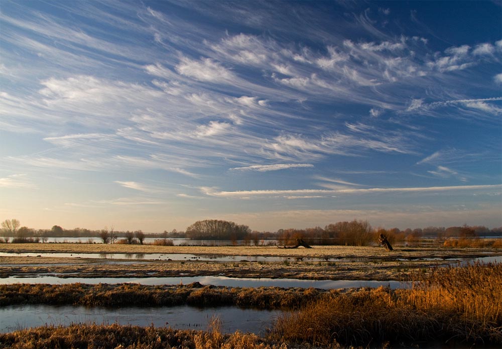 Fen Drayton Lakes
