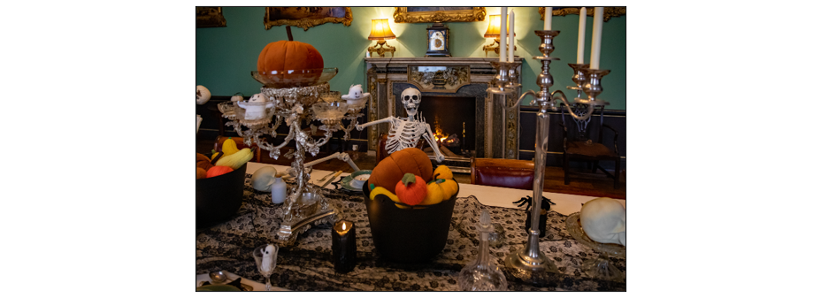 Halloween in the House - Skeleton