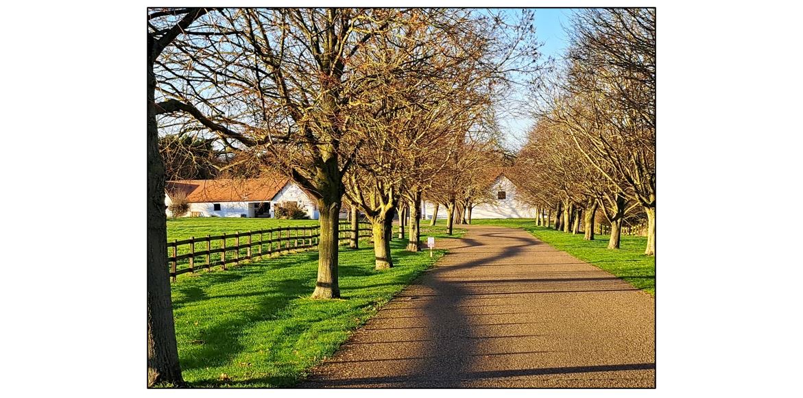 Frank's Farm - driveway