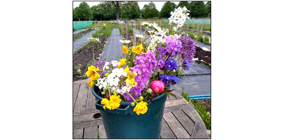 Nature's Posy
