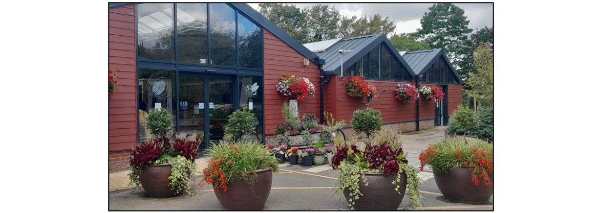 Oakington Garden Centre and The Olive Tree Café