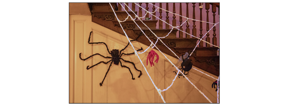 Halloween in the House  - spiders 2