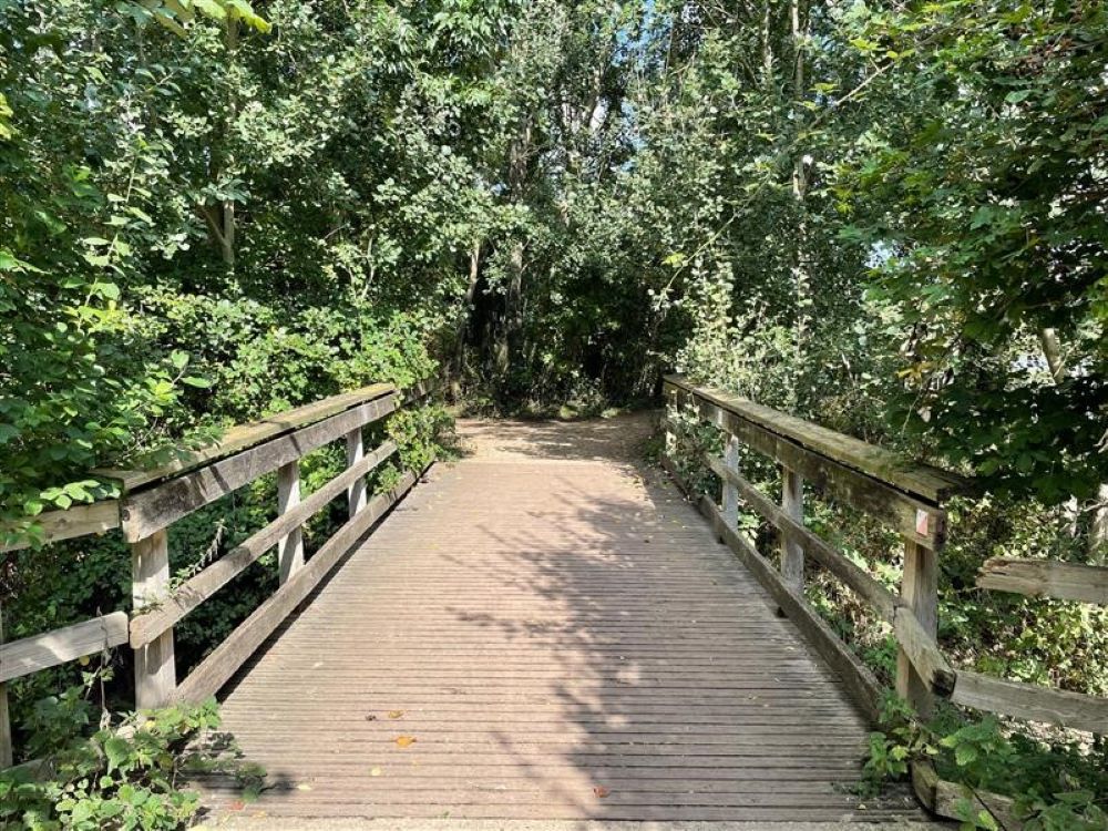 Milton Country Park, wooden bridge