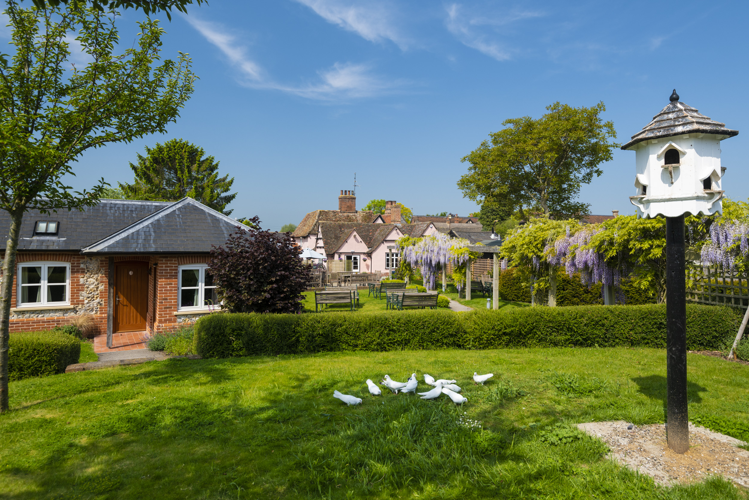 Red Lion Hinxton garden