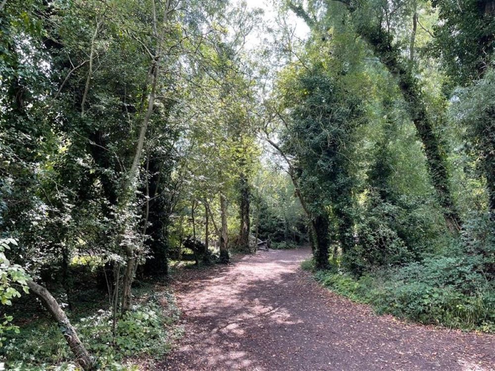 Milton Country Park, woodland pathway