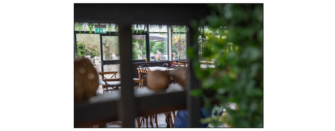 Oakington Garden Centre and The Olive Tree Café  - interior