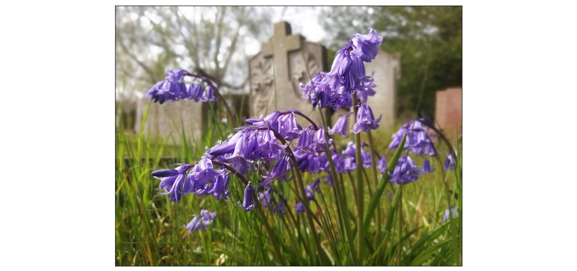 Cottenham Dissenters' Cemetery