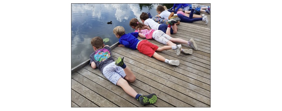 Holiday Bushcraft at Wandlebury Country Park