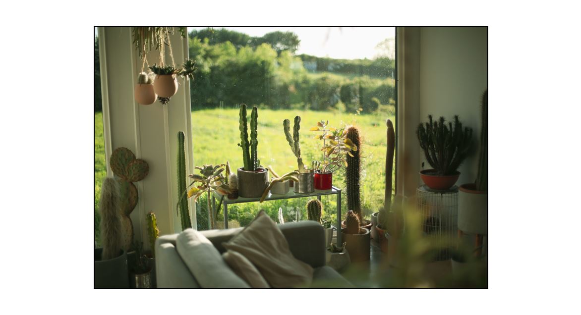 PAUS - window view