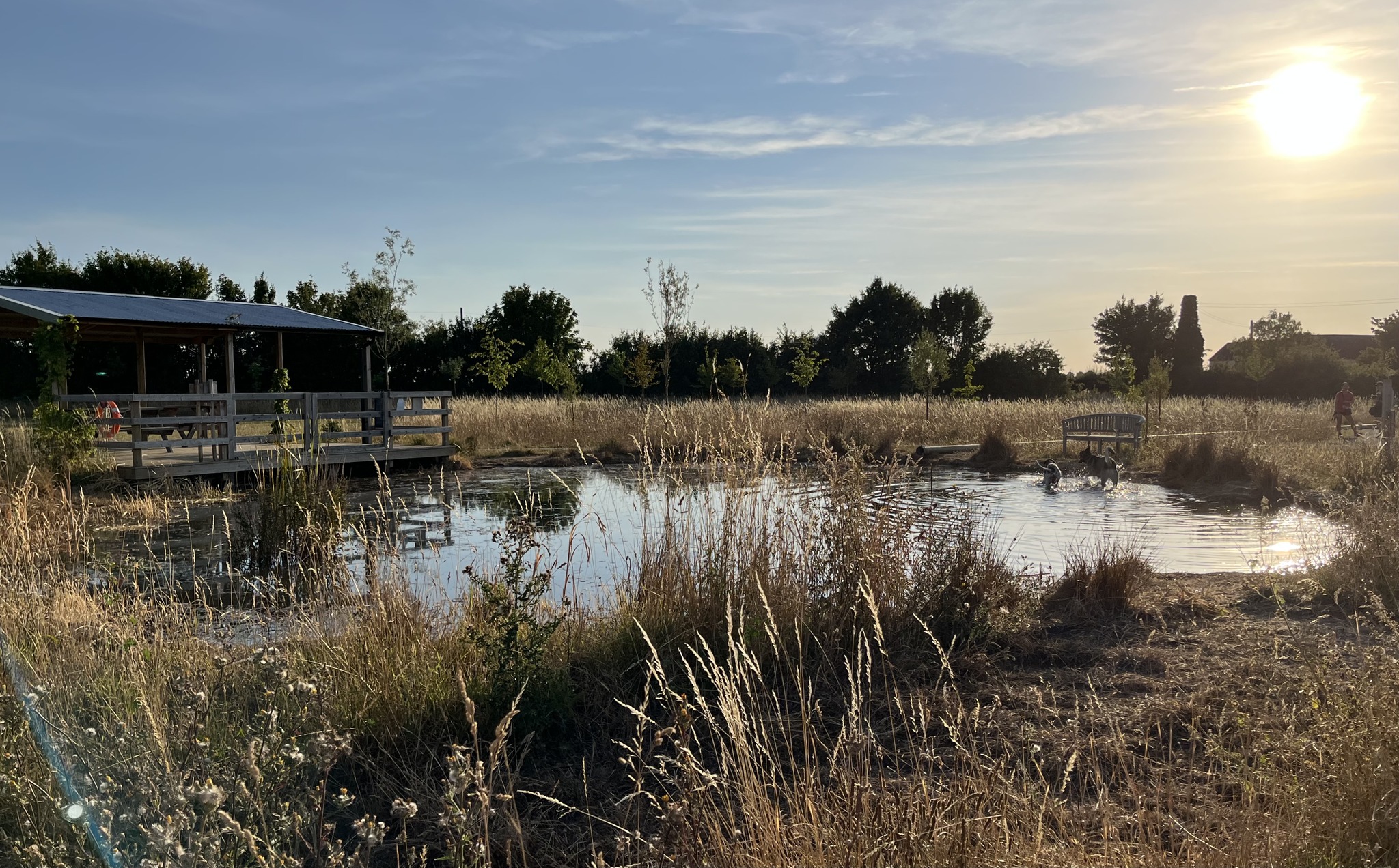 Pond